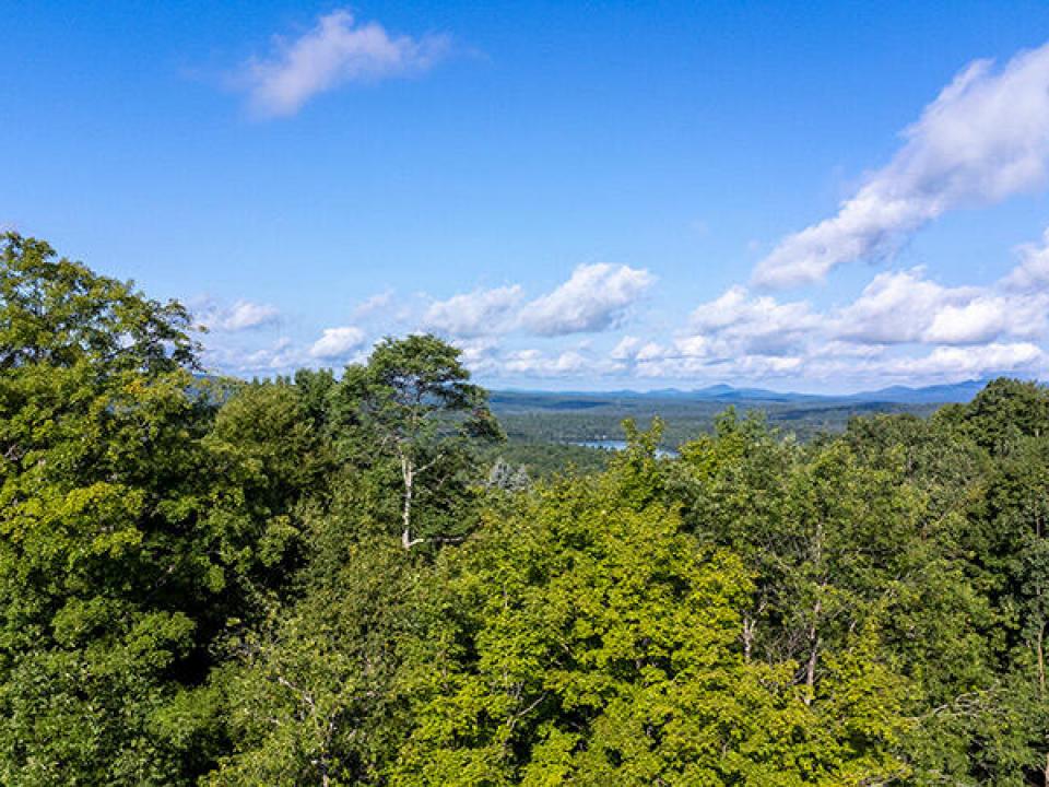 Lot18OnMtPisgahParkWay_A_Lot_Mountains_A