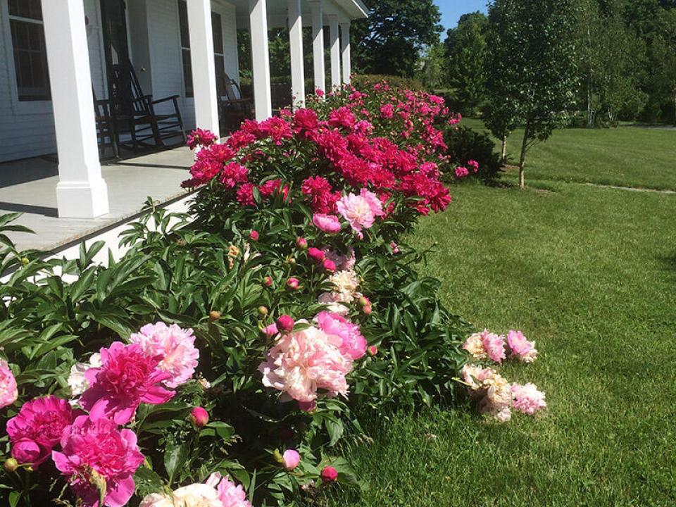 WillettFarmhouse_Flowers