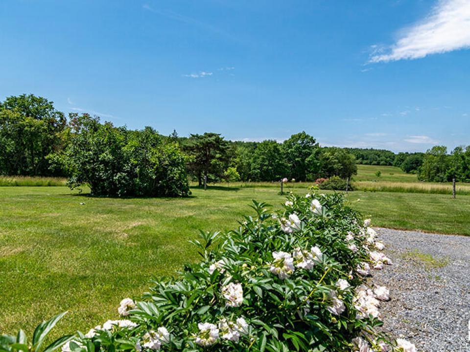 WillettFarmInEssex_Summer_Flowers_To_Fie