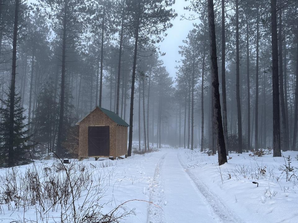 McGowan - Brick Church - winter driveway