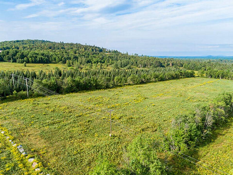 147_Private_Acres_In_Harrietstown_A_Lot