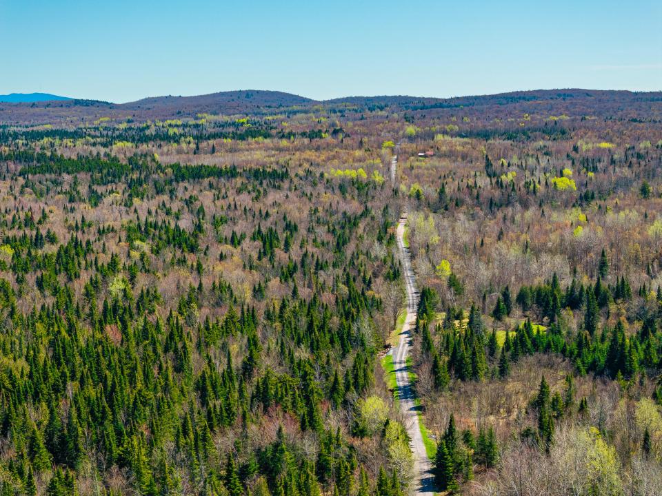 (1)_Panther Lane Forest. Southerly View