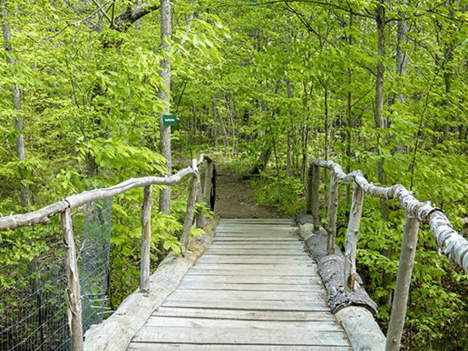 Adirondack-Wildlife-Refuge-and-Rehabilit