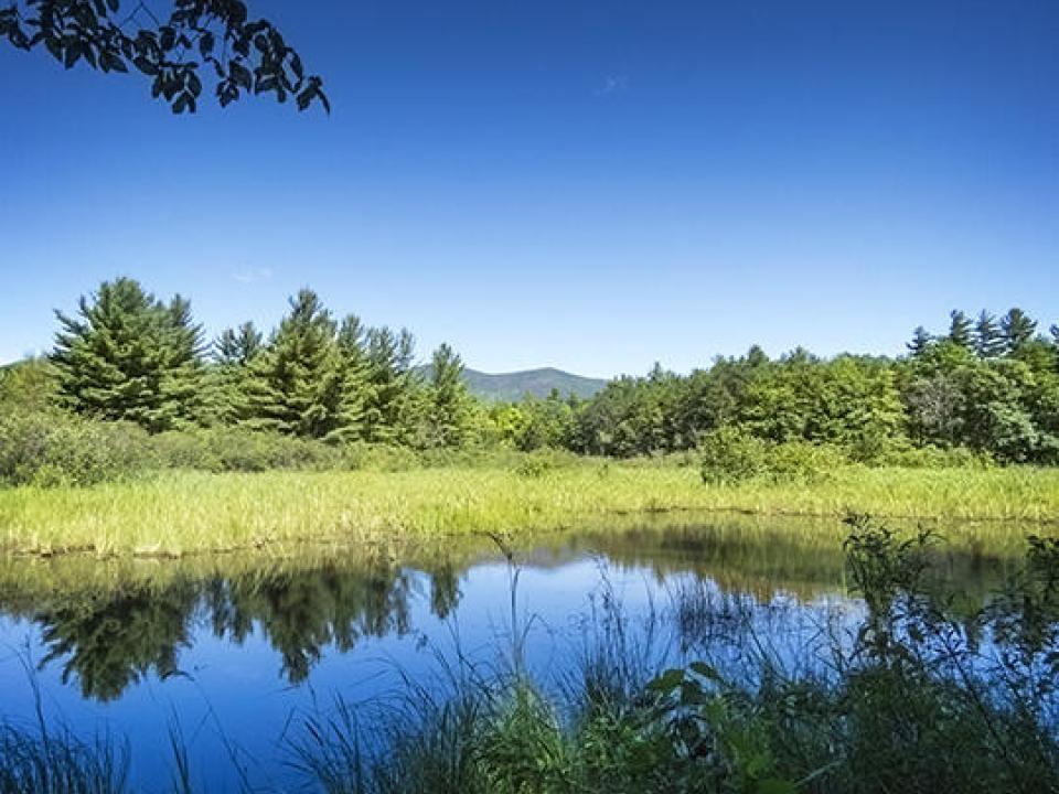 Adirondack-Wildlife-Refuge-and-Rehabilit