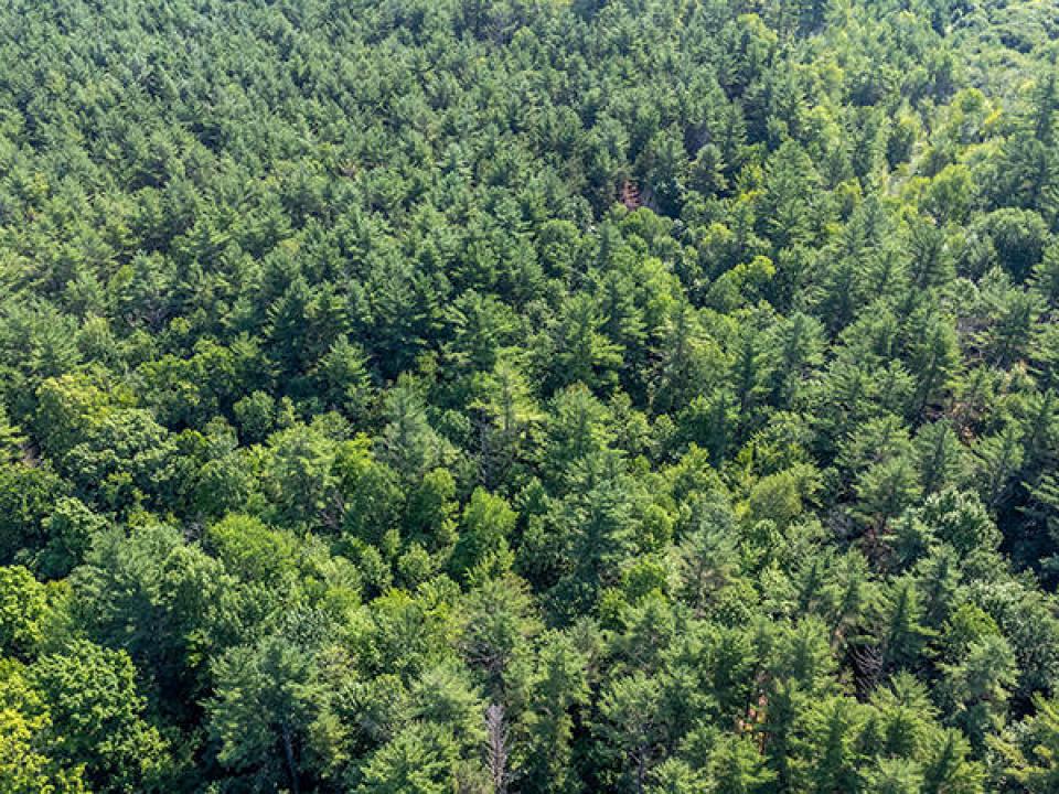 AdirondackWildlifePreserve_A_Land