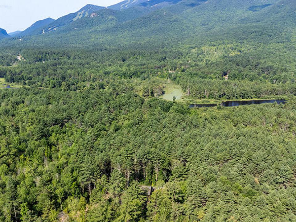 AdirondackWildlifePreserve_A_Property