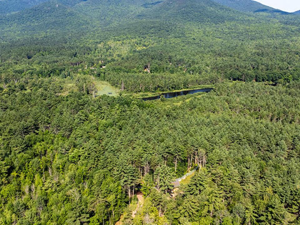 AdirondackWildlifePreserve_A_Property_Au