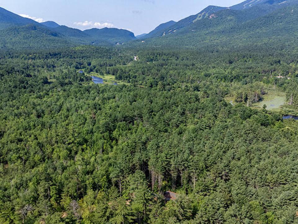 AdirondackWildlifePreserve_A_Property_Wh