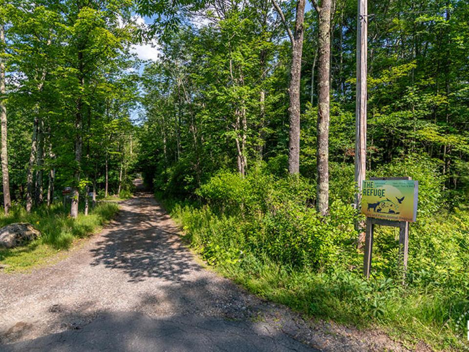 AdirondackWildlifePreserve_Roadway_In