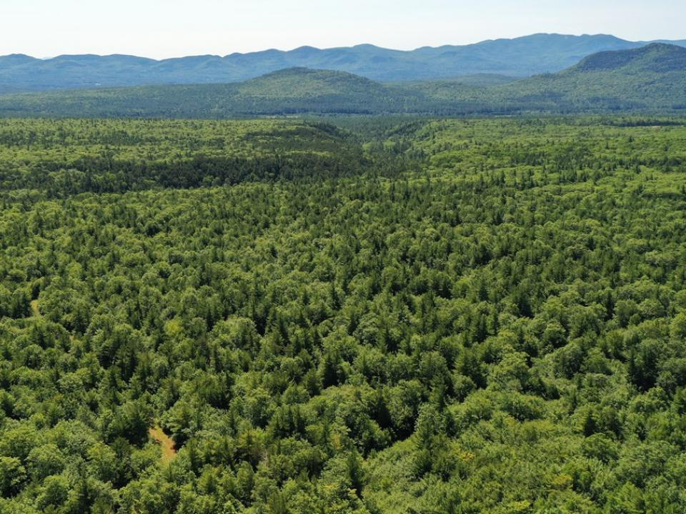 Jay Mountain Range to the East