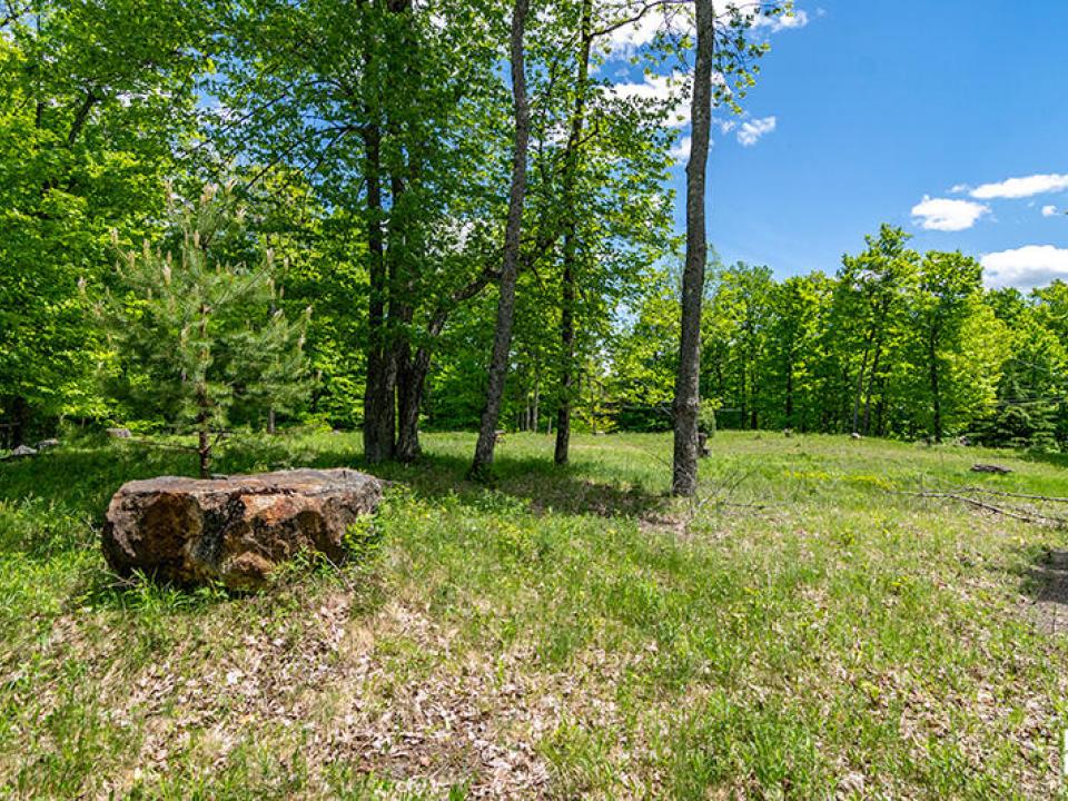 Lot33OnMtPisgahParkWay_Lot_L