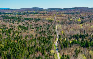 (1)_Panther Lane Forest. Southerly View