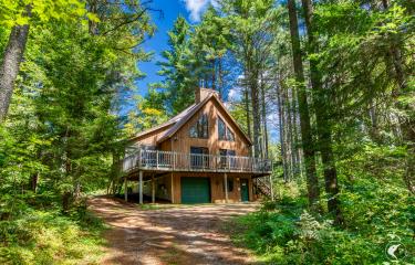 House in the woods